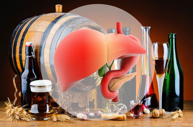 Bia rượu gây ảnh hưởng đến hầu hết các cơ quan trong cơ thể: gan, thận, dạ dày, tụy, não,… Trong đó, gan sẽ bị tổn thương và hủy hoại nhiều nhất